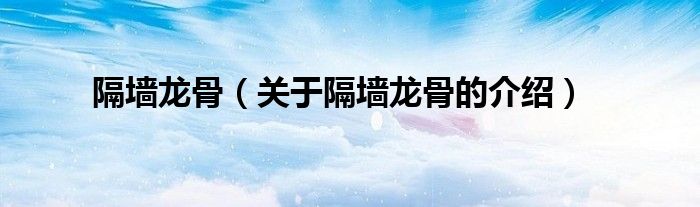 隔墙龙骨（关于隔墙龙骨的介绍）