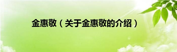 金惠敬（关于金惠敬的介绍）