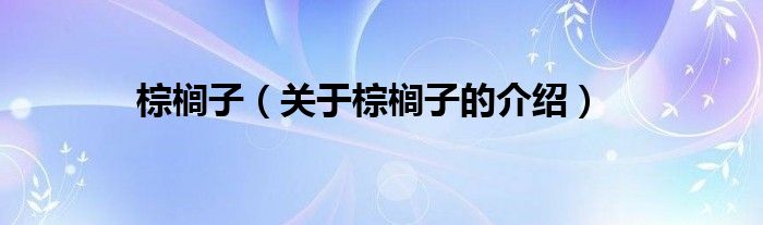 棕榈子（关于棕榈子的介绍）