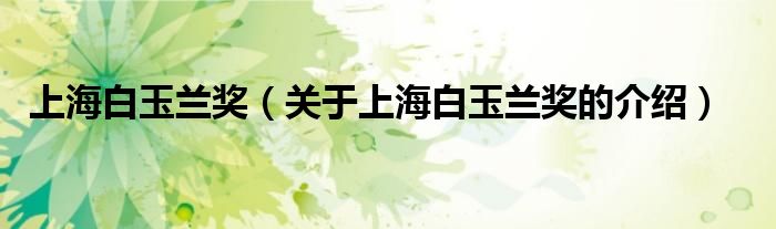 上海白玉兰奖（关于上海白玉兰奖的介绍）