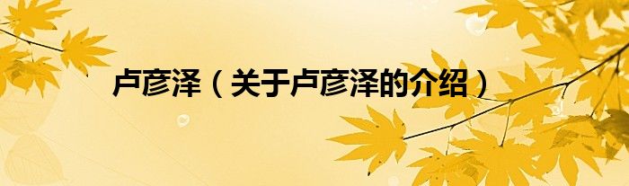 卢彦泽（关于卢彦泽的介绍）