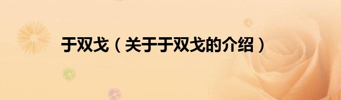 于双戈（关于于双戈的介绍）