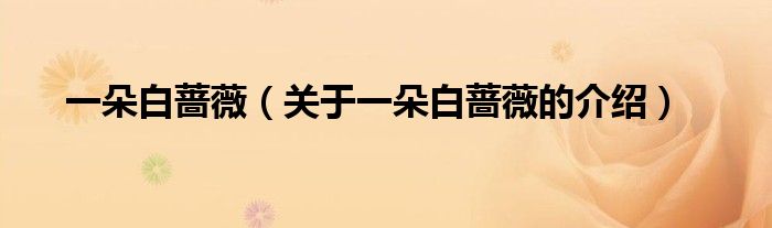 一朵白蔷薇（关于一朵白蔷薇的介绍）