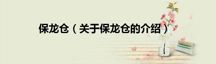 保龙仓（关于保龙仓的介绍）