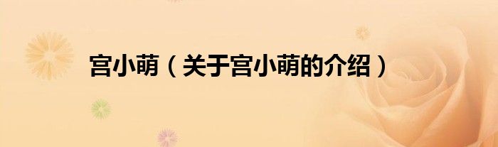 宫小萌（关于宫小萌的介绍）