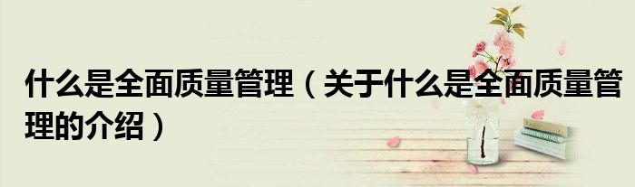 什么是全面质量管理（关于什么是全面质量管理的介绍）