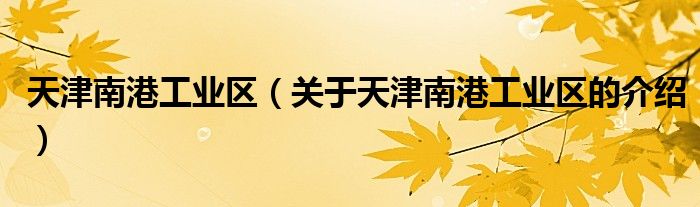 天津南港工业区（关于天津南港工业区的介绍）