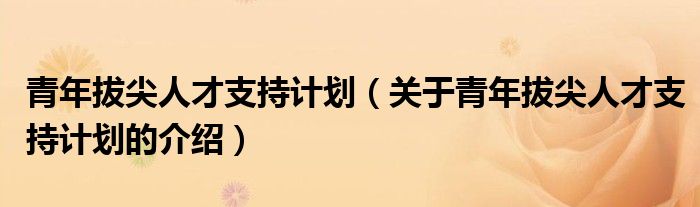 青年拔尖人才支持计划（关于青年拔尖人才支持计划的介绍）