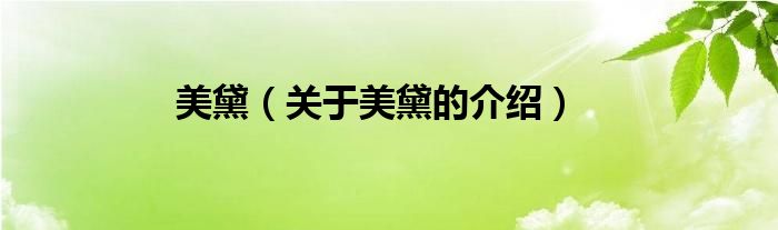美黛（关于美黛的介绍）