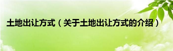 土地出让方式（关于土地出让方式的介绍）