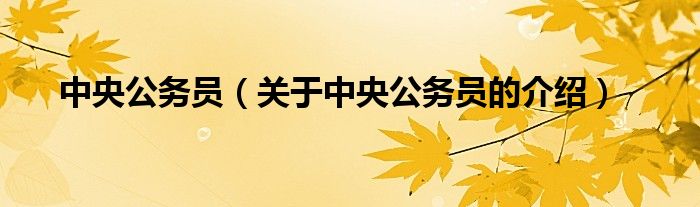 中央公务员（关于中央公务员的介绍）