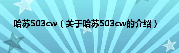 哈苏503cw（关于哈苏503cw的介绍）