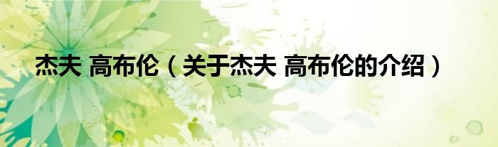 杰夫 高布伦（关于杰夫 高布伦的介绍）