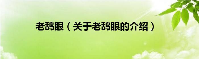 老鸹眼（关于老鸹眼的介绍）