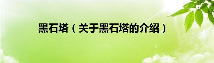 黑石塔（关于黑石塔的介绍）