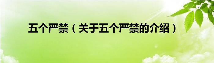 五个严禁（关于五个严禁的介绍）