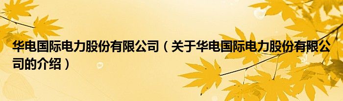 华电国际电力股份有限公司（关于华电国际电力股份有限公司的介绍）