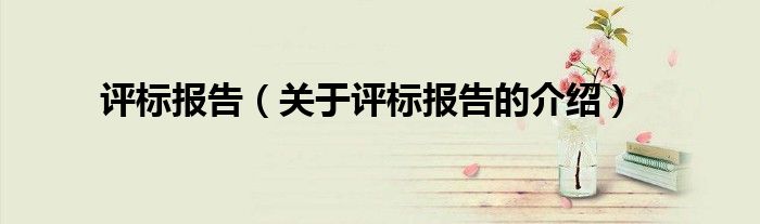 评标报告（关于评标报告的介绍）