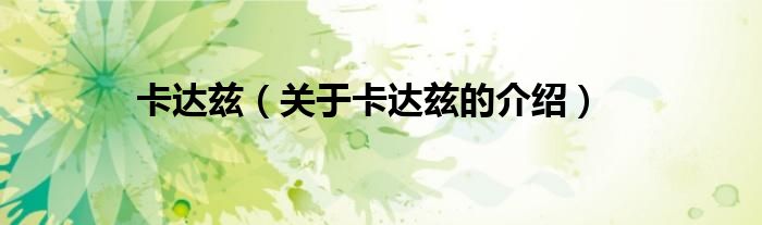 卡达兹（关于卡达兹的介绍）