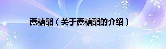 蔗糖酯（关于蔗糖酯的介绍）