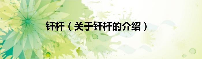 钎杆（关于钎杆的介绍）