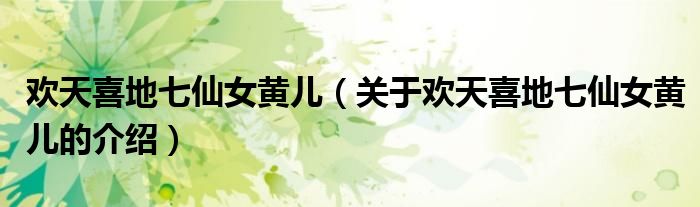 欢天喜地七仙女黄儿（关于欢天喜地七仙女黄儿的介绍）