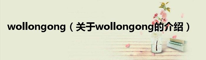 wollongong（关于wollongong的介绍）
