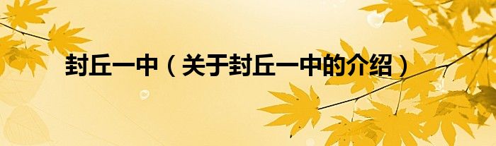 封丘一中（关于封丘一中的介绍）