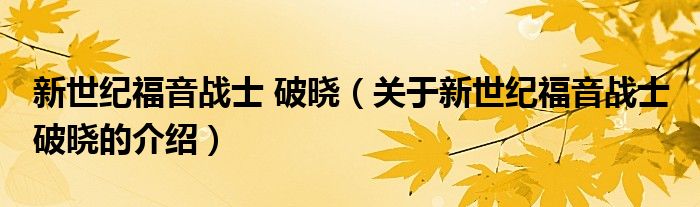 新世纪福音战士 破晓（关于新世纪福音战士 破晓的介绍）