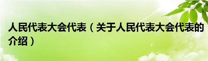 人民代表大会代表（关于人民代表大会代表的介绍）
