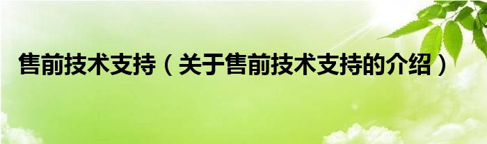 售前技术支持（关于售前技术支持的介绍）