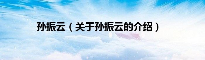 孙振云（关于孙振云的介绍）