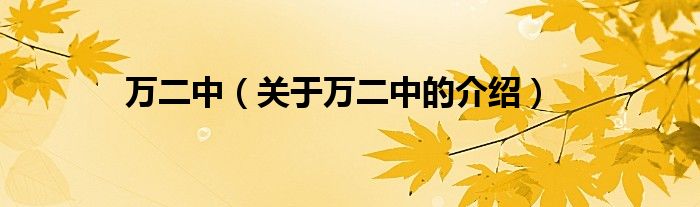 万二中（关于万二中的介绍）