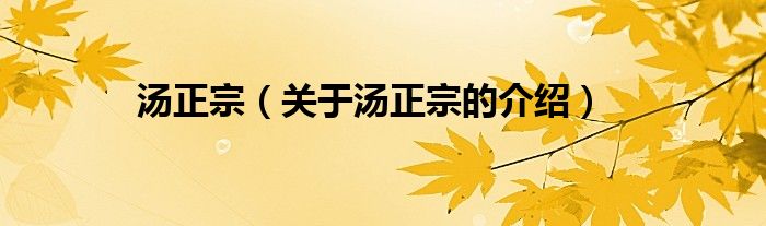 汤正宗（关于汤正宗的介绍）