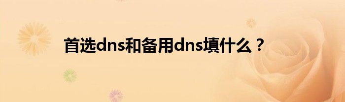 dns备用服务器地址