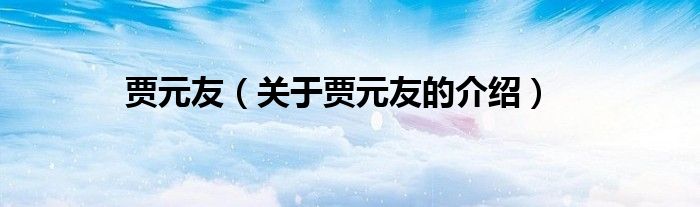 贾元友（关于贾元友的介绍）