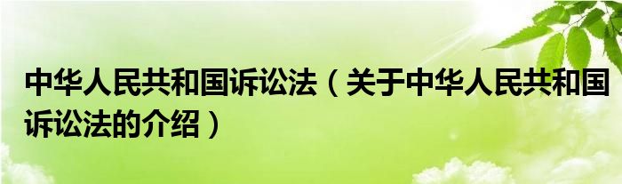 中华人民共和国诉讼法（关于中华人民共和国诉讼法的介绍）