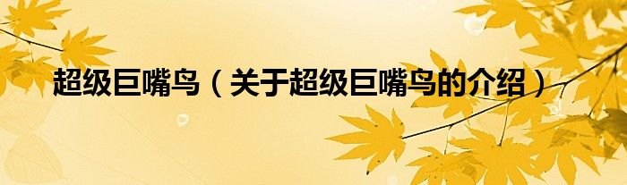 超级巨嘴鸟（关于超级巨嘴鸟的介绍）