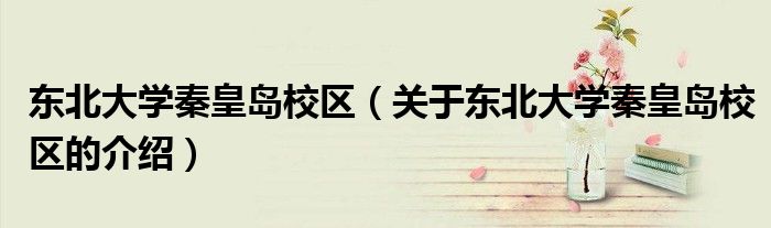 东北大学秦皇岛校区（关于东北大学秦皇岛校区的介绍）