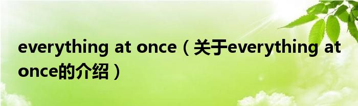 everything at once（关于everything at once的介绍）