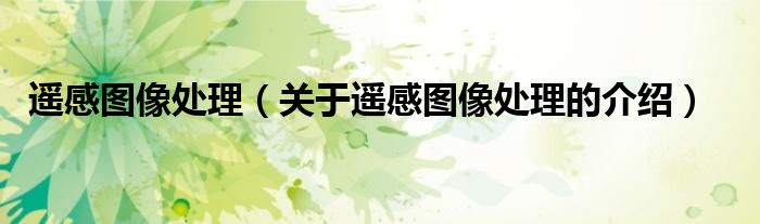 遥感图像处理（关于遥感图像处理的介绍）