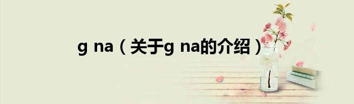 g na（关于g na的介绍）