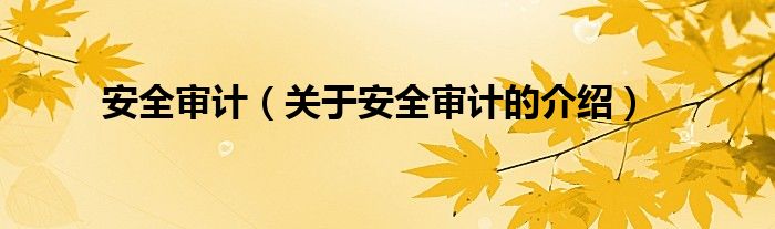安全审计（关于安全审计的介绍）