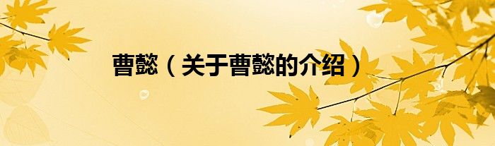 曹懿（关于曹懿的介绍）