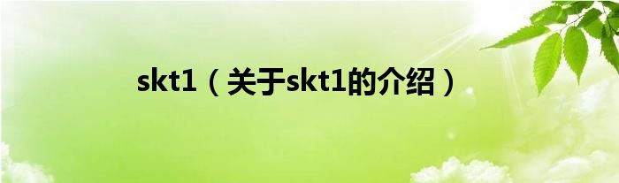 skt1（关于skt1的介绍）
