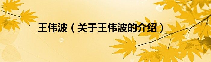 王伟波（关于王伟波的介绍）