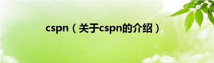 cspn（关于cspn的介绍）