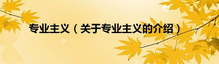 专业主义（关于专业主义的介绍）