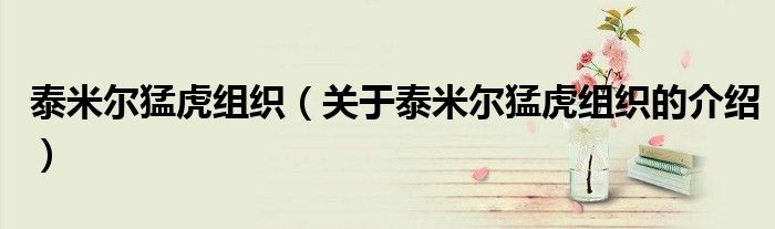 泰米尔猛虎组织（关于泰米尔猛虎组织的介绍）