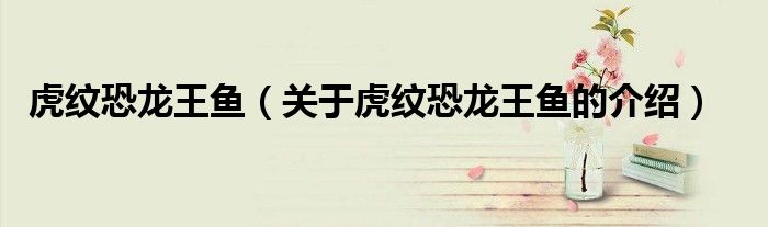 虎纹恐龙王鱼（关于虎纹恐龙王鱼的介绍）
